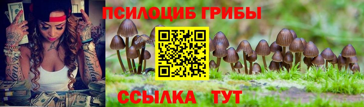 Псилоцибиновые грибы MAGIC MUSHROOMS  Галлюциногенные грибы Psilocybine cubensis  Бирск  Вход с VPN 